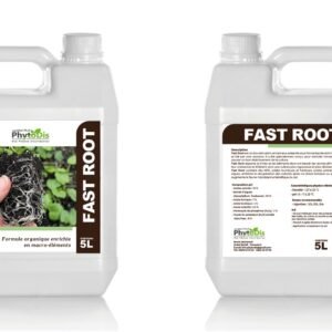 Organic Moroccan Olive Oil